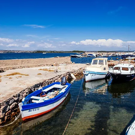 Dalmatian Pearls فيلة *